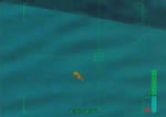 Deep Sea Cheese