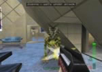 Shred the monster and grab the Mauler it drops.